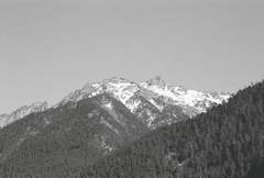 ��� �� ����